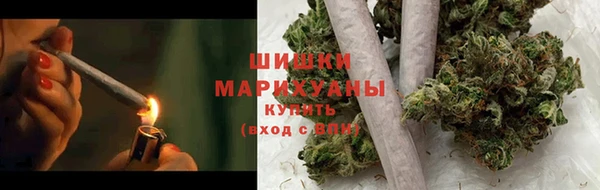 PSILOCYBIN Богородицк